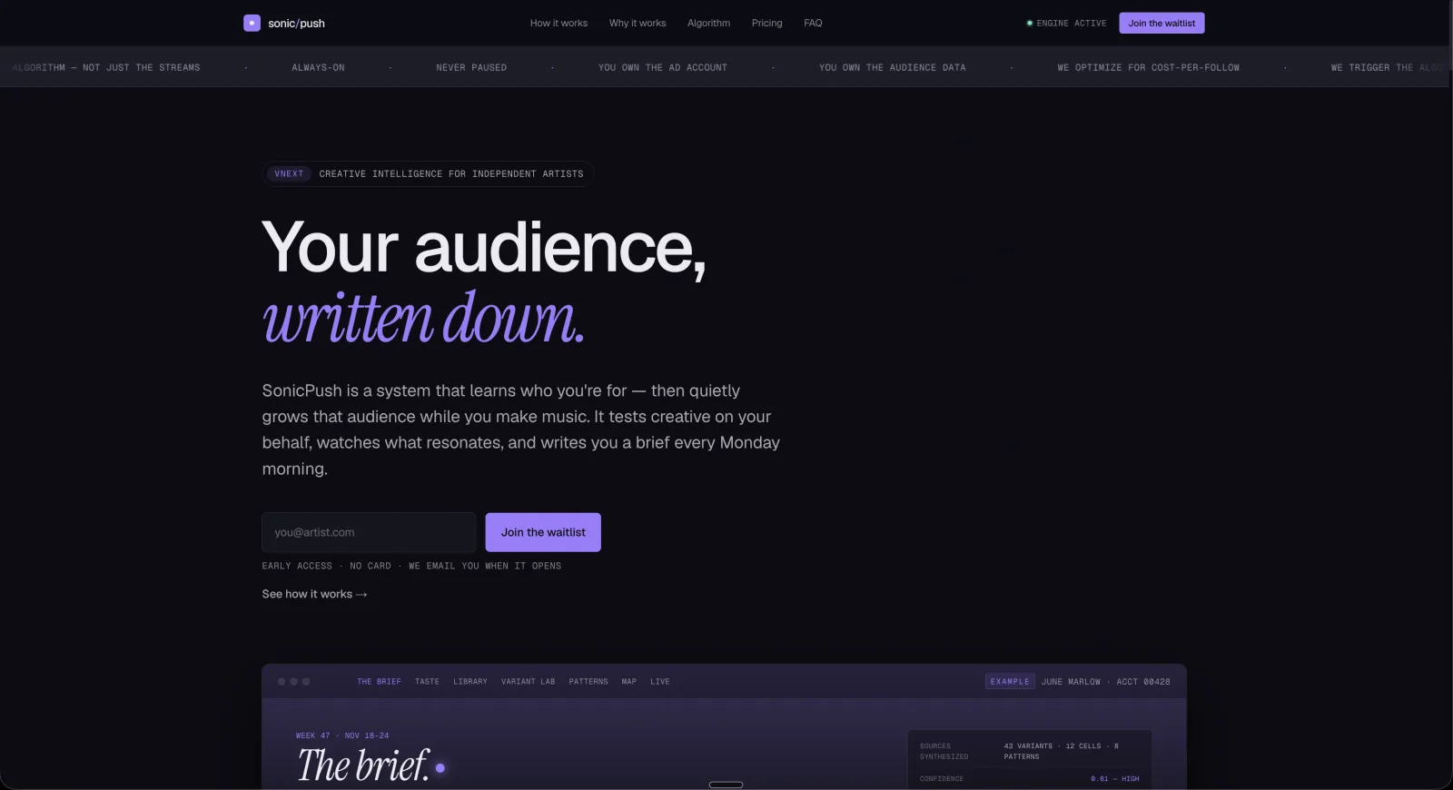 Sonicpush — homepage hero, your audience written down